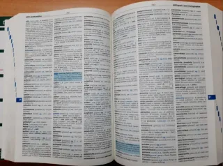 Grande dizionario di francese e italiano.