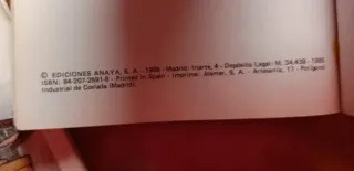 El Romancero (Biblioteca Didactica Anaya / Anay...