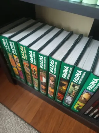 Enciclopedias variadas. 43 tomos