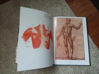 Enciclopedias variadas. 43 tomos