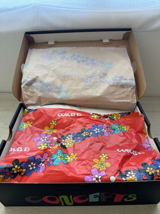 Nike Air Max 1 Concepts