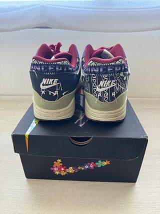 Nike Air Max 1 Concepts