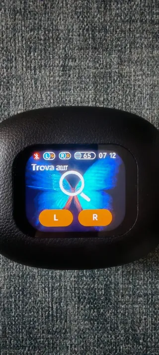 Cuffie Nere e Argento