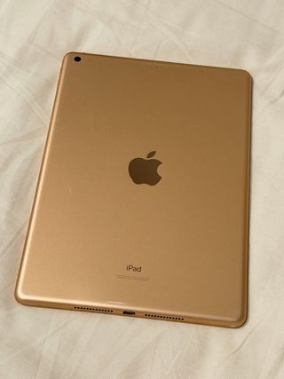 iPad 7ª Generación