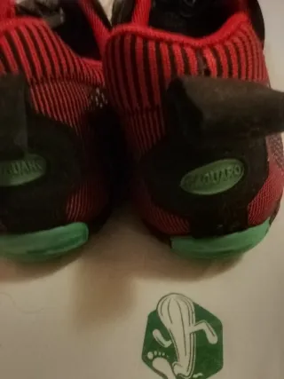 Zapatillas Saguaro Talla 44 Hombre