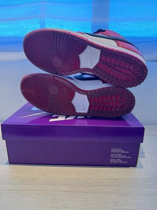 Nike Dunk SB CHICAGO