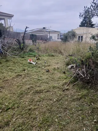 Servicio de desbroce de parcelas  632 47 25 73