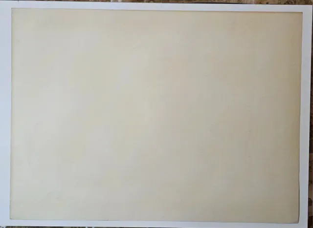 Litografia Ramón Llovet Miserol