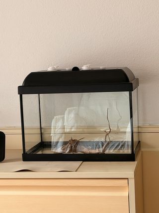 Acuario 20L Peces Tortugas Rana