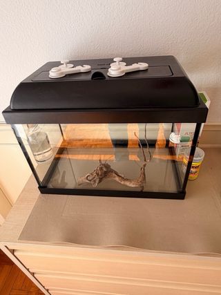 Acuario 20L Peces Tortugas Rana