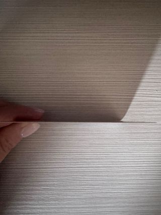 Carte Pokémon Charizard riproduzioni esposizione