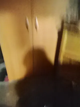 Armario de madera y plástico