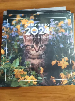 Imágenes para pintar