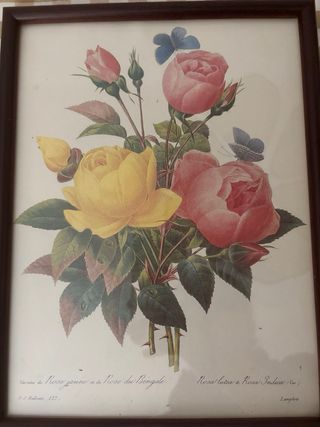 Cuadro Vintage Rosas Rosas y Amarillas (22x29)