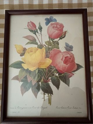 Cuadro Vintage Rosas Rosas y Amarillas (22x29)