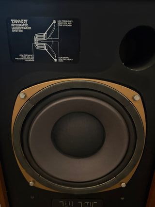 COPPIA DI DIFFUSORI TANNOY EATON HPD 295A VINTAGE