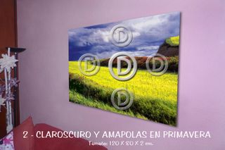 Cuadros fotografías de paisajes