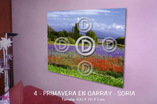 Cuadros fotografías de paisajes