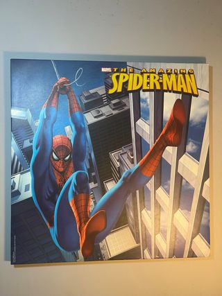 Cuadro Spiderman Marvel