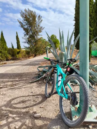 Orbea Oiz MLTD tope gama