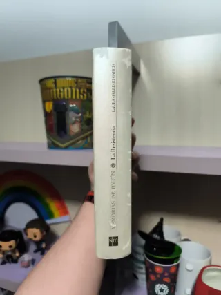 La Resistencia (primer libro de Memorias de Idhun)