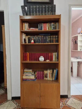 Biblioteca de madera