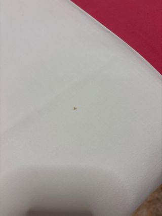 Lençol de cima algodão com faixa bordada