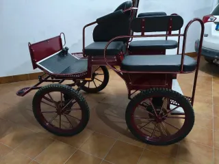 Carruaje Maratón