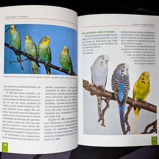 El Nuevo Libro de los Periquitos - Cómo cuidarlos