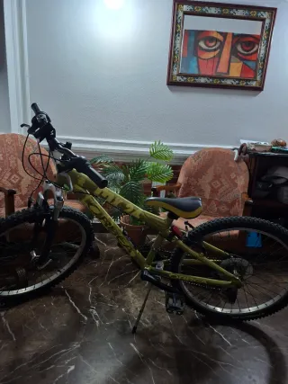 Bicicleta Orbea 24 Infantil