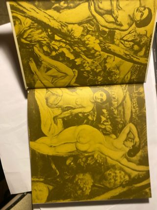 Libro SUNYER de Rafael Benet