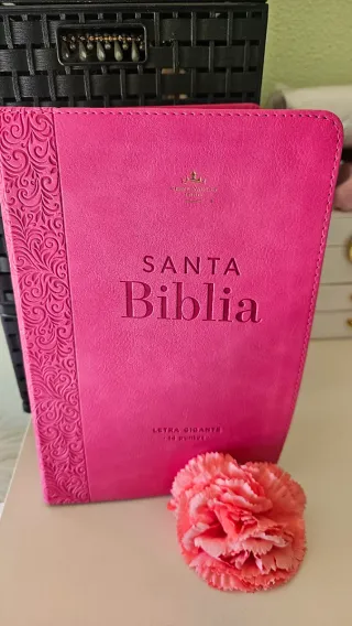 Biblia rosa