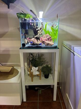 Acuario 50L con mueble, decoración... TODO!!