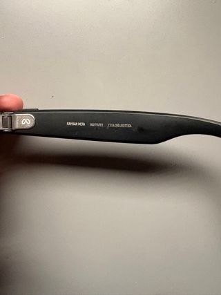 Ray-Ban Meta Wayfarer Polarizadas