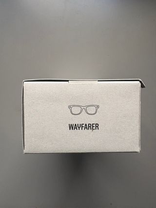 Ray-Ban Meta Wayfarer Polarizadas