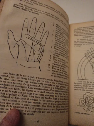 el orden del universo