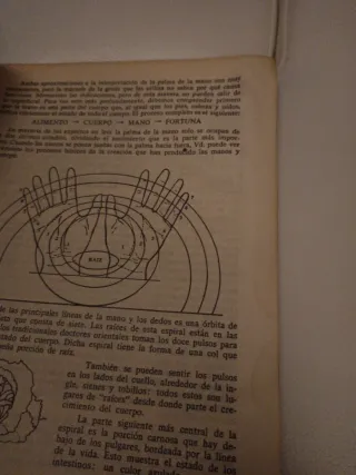 el orden del universo