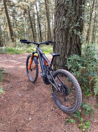 Bicicleta eléctrica montaña Specialized