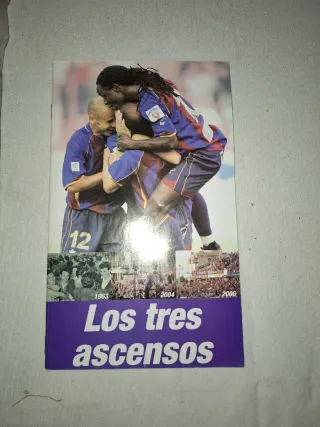 Lote medias Levante y catálogo