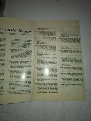 Lote medias Levante y catálogo