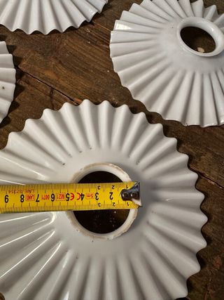 TULIPAS OPALINA MODERNISTAS RIZADAS.