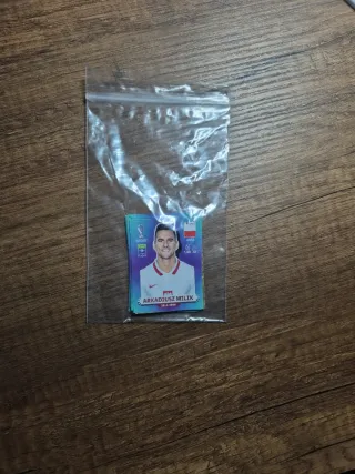 Pegatinas Mundial Polonia 2022