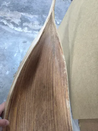 Hoja de palmera decorativa