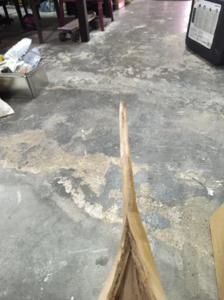 Hoja de palmera decorativa