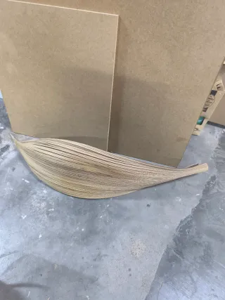 Hoja de palmera decorativa