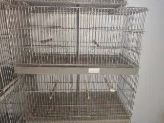 Gabbie per uccelli 60cm