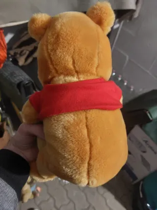 Peluche Winnie the Pooh + cornice foto