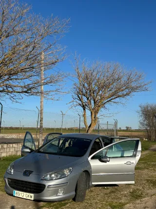 Peugeot 407 2009