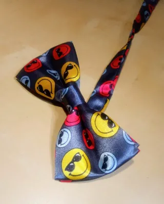 Papillon Adulto con Smile Colorati