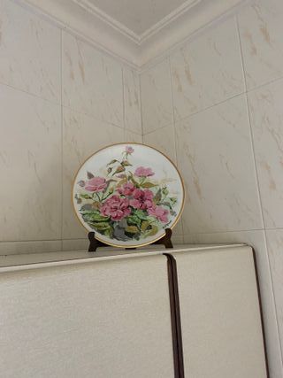 Piatti decorativi orientali